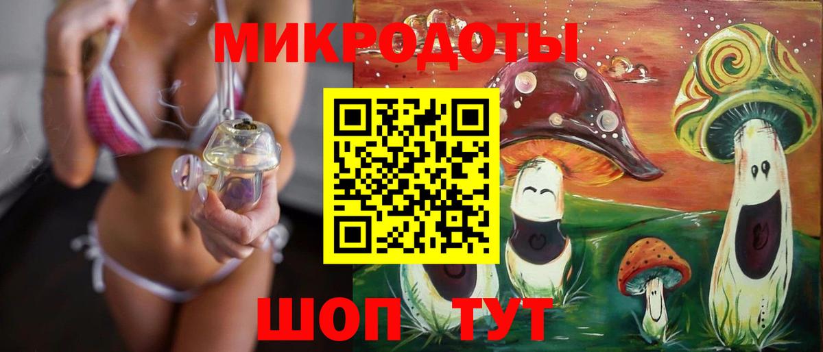 Псилоцибиновые грибы Cubensis  Вход с VPN  Шебекино 