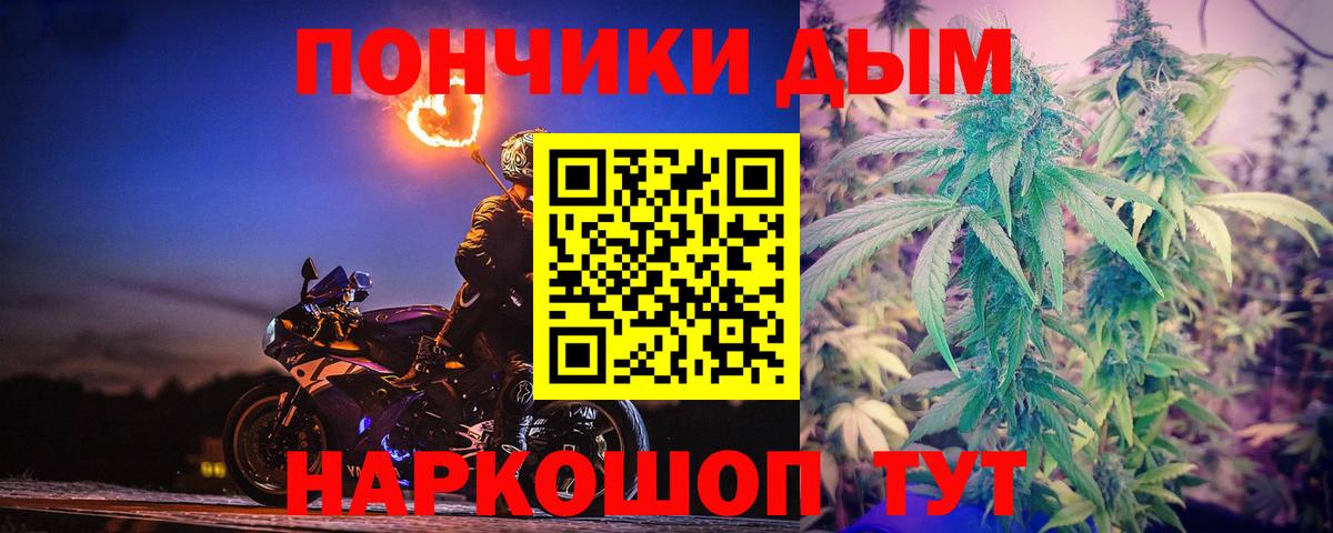 Бошки марихуана конопля  Вход с VPN  Шебекино  МАРИХУАНА ГИДРОПОН 