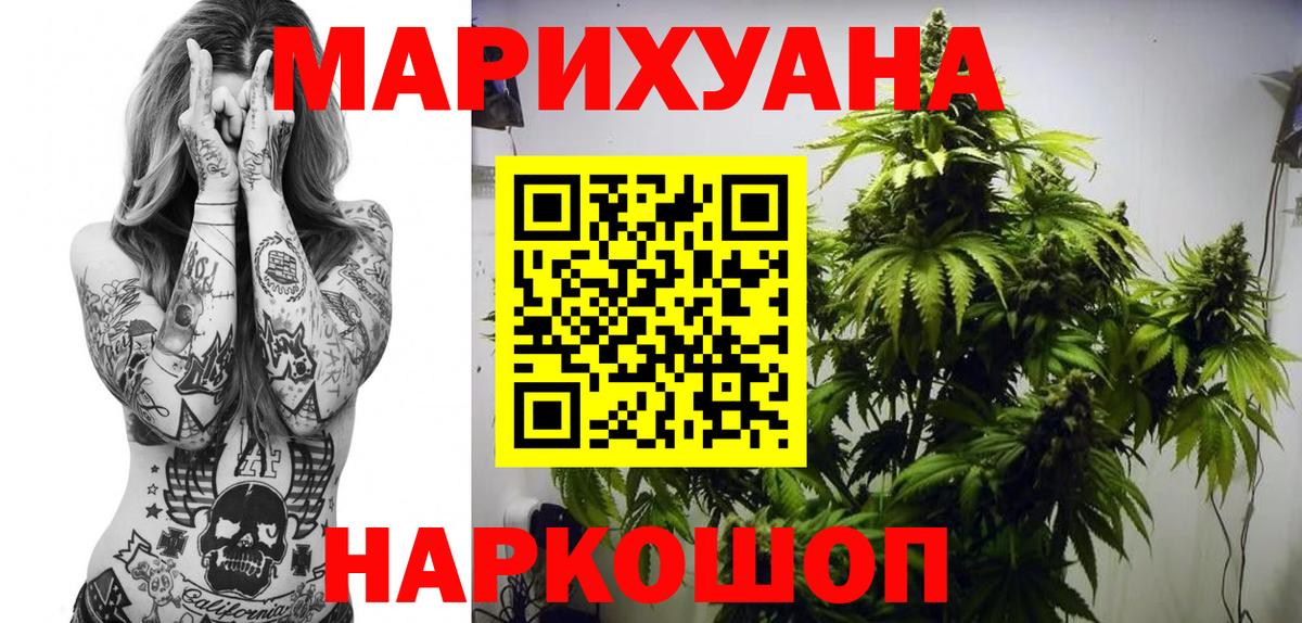 Бошки Шишки планчик Шебекино